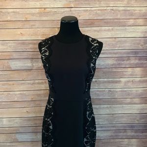 J Crew lace insert cocktail little black dress
